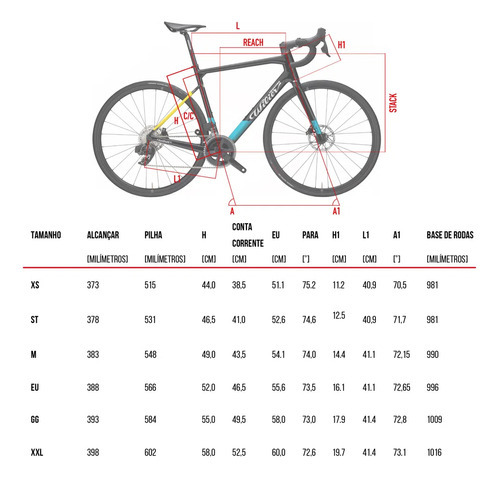 Bicicleta Speed Wilier 700 Garda Rival 24v 2022 Pto/az/am
