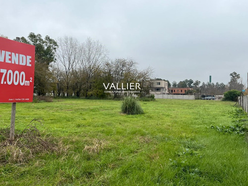Fracción 1.7 Ha En Venta- Caamaño Km 46.5- Pilar, G.b.a. Zona Norte