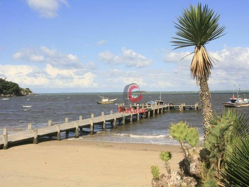 Imagem 11 de 24 de Área À Venda, 5000 M² Por R$ 1.250.000,00 - Chácara Mariléa - Rio Das Ostras/rj - Ar0002