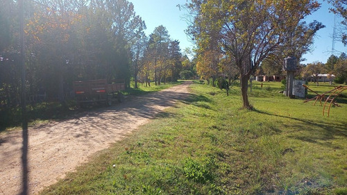 Imagen 5 de 12 de Venta Lote - Barrio Don Pedro Gualeguaychu