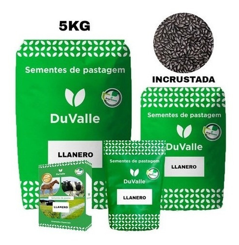 Capim Llanero 5kg Braquiaria Humidicola 90%pureza Incrustada