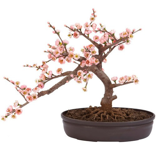 Árbol Artificial De Seda Bonsái De Flor De Cerezo 15