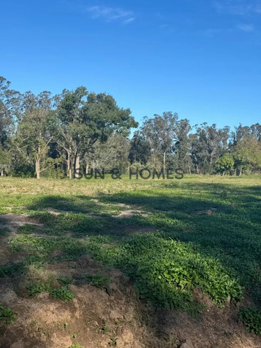 Oportunidad Terrenos De 1.000 Mts Financiados Hasta En 5 Años En Barrio Cerrado Con Servicios En Punta Ballena