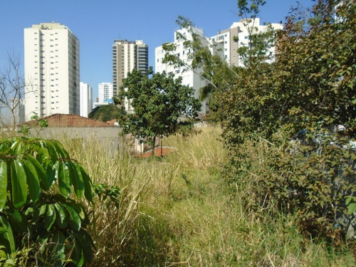 Imagem 6 de 12 de Terreno - 471022 - 69953291