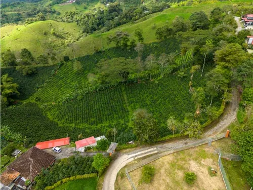 En Venta Finca Cafetera Certificada En Filandia Quindio