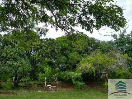 Imagem 15 de 16 de Granja A Venda Massaranduba
