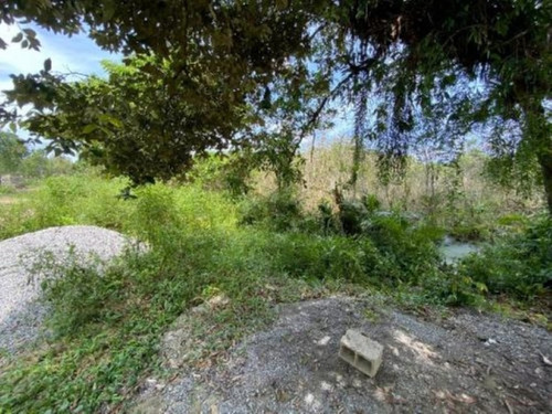Imagem 2 de 3 de Lote Amplo E Escriturado Na Praia De Itanhaém/sp!