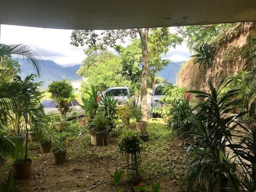Imagen 6 de 11 de Casa Con Terreno En Venta En Colinas De Bello Monte