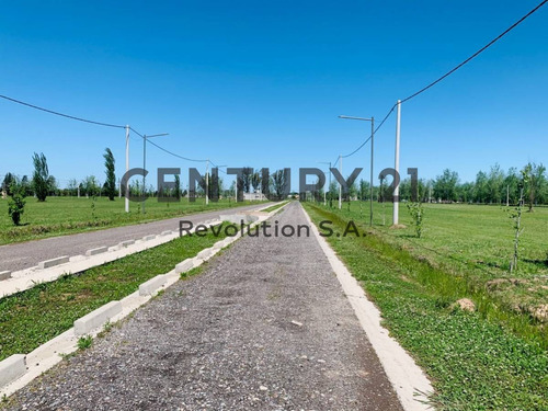 Imagen 3 de 11 de Terreno De 392 M2 En Pinares Del Sur - Piñero
