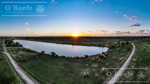Lote En Venta En Puerto Nizuc - Oportunidad De Inversión En Guillermo Hudson