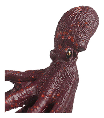4 Paquete De 2-4 Figuras De Calamar, Modelo De 4 Piezas