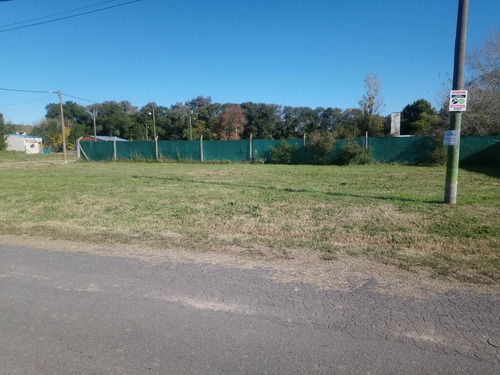 Imagen 8 de 13 de Terreno - Loma Verde
