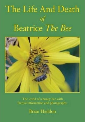 Libro The Life And Death Of Beatrice The Bee - Brian Haddon