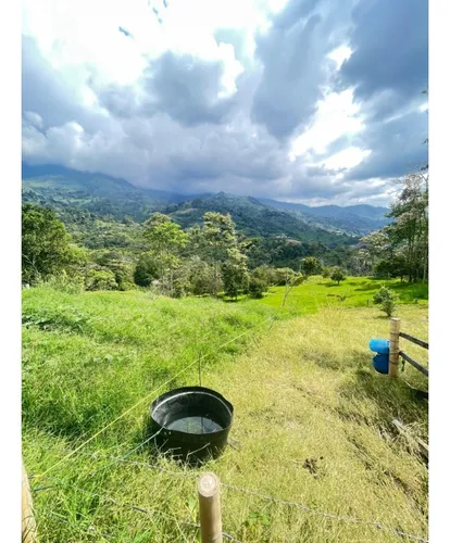 Alquiler De Finca En El Sector De Río Verde Alto En Córdoba Quindío
