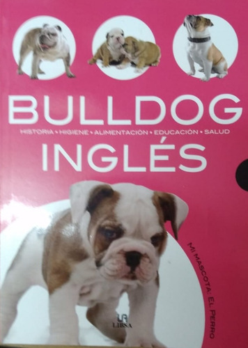 Bulldog Inglés Historia, Higiene, Alimentación, Educación 