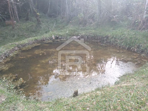 Imagem 14 de 30 de Itio Ideal Para O Seu Lazer Tendo 3 Lagos Piscosos Com Peixe, 02 Nascentes Próprias, Pomar, Horta. - 77 - 70066608