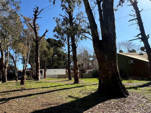 Venta Lote San Bernardo 200 M2 Oportunidad