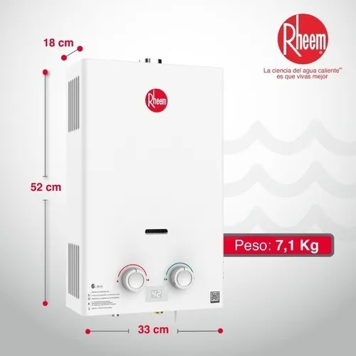 Calentador De Agua 6lt Gas Natural Tiro Forzado Rheem Color Blanco Tipo de gas GN 120V