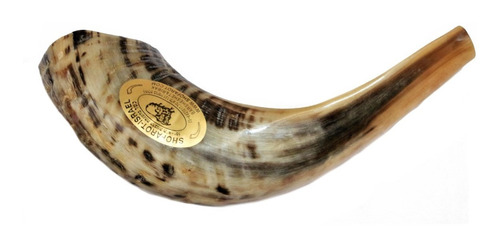 Imagem 5 de 6 de Shofar Chifre De Carneiro De Tocar - De Israel E1 25-29 Cm