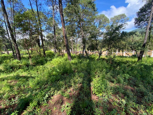 Imagen 8 de 11 de Terreno En Venta En San Gabriel Ixtla, Valle De Bravo