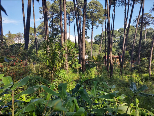 Terreno En Venta, Zona Avandaro