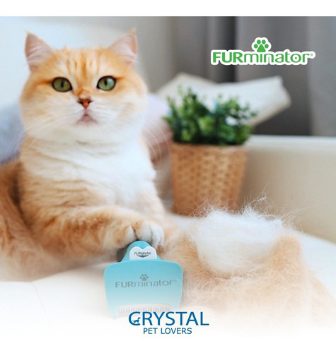 Imagen 6 de 9 de Cepillo Furminator Pelo Corto Small Gato Pequeño