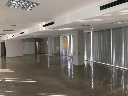 Imagem 1 de 6 de Sala Com 254 M² Para Alugar Na Avenida Rio Branco - Centro - Loc5446m - 34453246