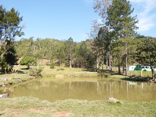 Imagem 1 de 16 de Sítio À Venda Com Pasto Lago Piscina 56.000 Ótima Localização