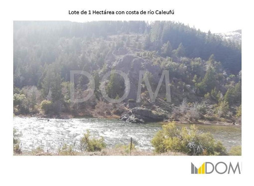 Imagen 3 de 13 de Impresionante Lote De 1ha Con Costa De Río