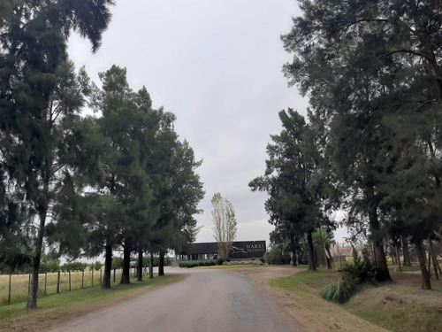 Imagen 4 de 16 de Haras Club De Campo