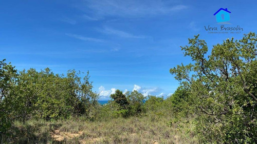 Imagem 6 de 12 de Terreno 3.000m² Em Tabatinga (excelente Para Condomínios E Hotéis) - Te0784