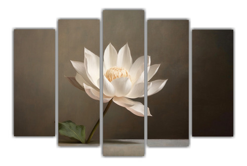 Cinco Composiciones Modernos Orquídeas Luminosidad 125x75cm