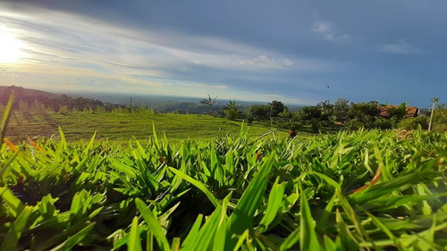 Chácara Em Espírito Santo Do Pinhal