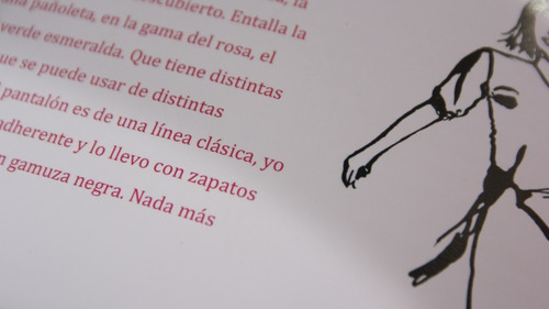 Entrevista Ilustrada - Mareco Goyeneche Donn