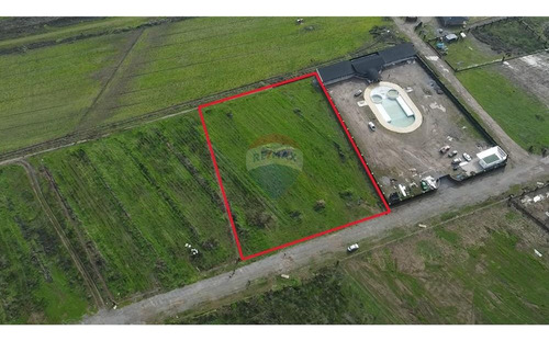 Parcela Rol Propio, 5000 M2 Calera De Tango