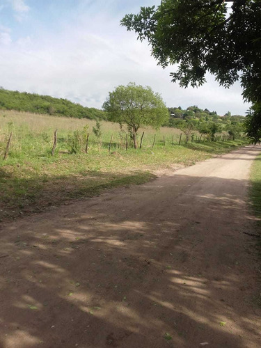 Imagen 5 de 8 de Campo En Alquiler La Granja Córdoba