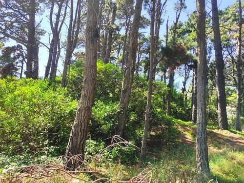 Lote Unifamiliar De 275 M2