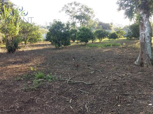 Imagem 3 de 5 de Terreno Pra Locação, A 3 Minutos Da Tibiriçá, Atrás Do Semar Do Raffo - 6000 M² Por R$ 5.000 - Chácara Estância Paulista - Suzano/sp - Te0084