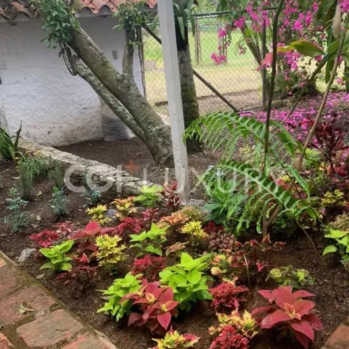 Cgi+ Luxury Vende Hermosa Caballeriza, Tejerias, Edo, Aragua. A 50 Minutos De Caracas