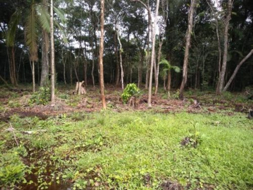 Imagem 18 de 22 de Chácara Com Espaço Para Piscina E Vaga Para 10 Automóveis, Em Itanhaém, No Bairro Chácaras Lucel, Ref: 8103/ac