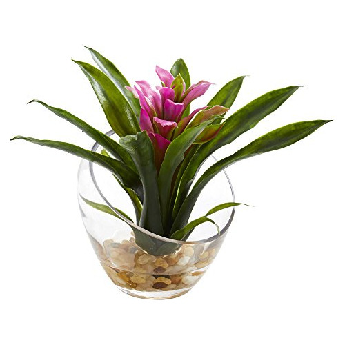 Bromelia Tropical Casi Natural En Florero Angulado, 8  , Púr