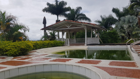 Se Vende Finca Vereda La Palmilla 