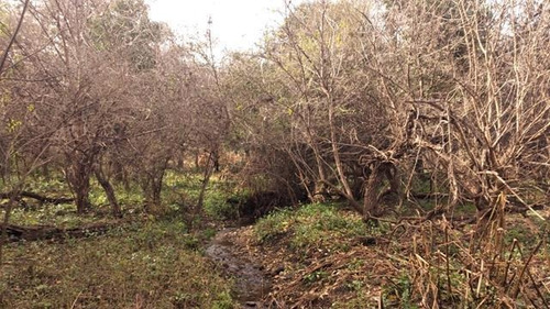 Imagen 17 de 30 de Terrenos Desde 3 Mil M2 A 1 Hectarea En Venta En San Javier, Traslasierras