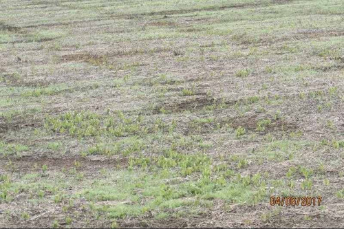 Imagen 7 de 9 de Campo En Venta En Chacabuco