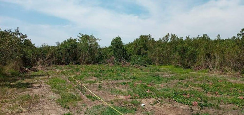 Imagen 1 de 3 de Lote En Exclusiva Zona Residencial Las Arboladas De Aticama, San Blas, Nayarit