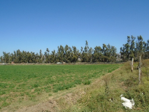 Se Vende Paño 17 Has. Totalmente Plano En Camino El Toro