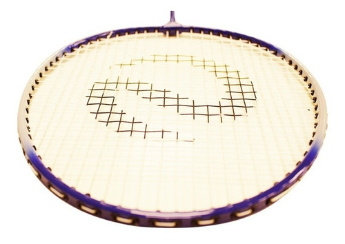 Imagen 2 de 10 de Raquetas Badminton X 4 + 2 Plumas + Funda + Red + Combo Kit
