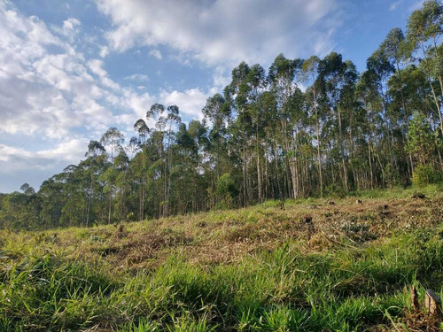 Imagem 3 de 7 de Um Lote Bem Localizado, Venha Construir Seu Sonho