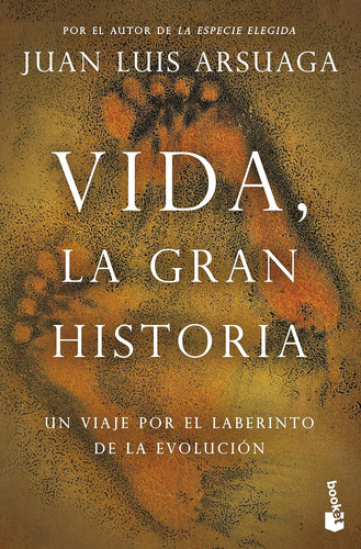 Libro: Vida, La Gran Historia (spanish Edition)