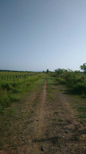 Te Vendo Excelente Finca En Bayaguana Monte Plata